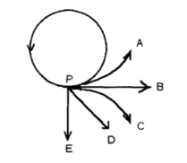 A girl attaches a rock to a string,which she then swings counter-clockwise in a horizontal circle.The string breaks at point P in the figure,which shows a bird's-eye view (as seen from above) .Which path (A-E) will the rock follow?   A) Path A B) Path B C) Path C D) Path D E) Path E