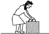 <strong>As shown in the figure,a woman is straining to lift a large crate,but without success because it is too heavy.We denote the forces on the crate as follows: P is the magnitude of the upward force being exerted on the crate by the person,C is the magnitude of the vertical contact force on the crate by the floor,and W is the weight of the crate.How are the magnitudes of these forces related while the person is trying unsuccessfully to lift the crate? </strong> A)P + C = W B)P + C < W C)P + C > W D)P = C