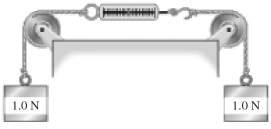 In the figure,what does the spring scale read? The pulleys are ideal and the strings and scale are also massless.   A) exactly 2.0 N. B) exactly 1.0 N C) 0.50 N D) 0.00 N E) more than 19.6 N