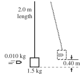 As shown in the figure,a bullet of mass 0.010 kg moving horizontally suddenly strikes a block of wood of mass 1.5 kg that is suspended as a pendulum.The bullet lodges in the wood,and together they swing upward a vertical distance of 0.40 m.The length of the string is 2.0 m.What was the speed of the bullet just before it struck the wooden block?   A) 67 m/s B) 250 m/s C) 370 m/s D) 420 m/s E) 650 m/s