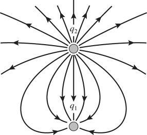 Two stationary point charges q<sub>1</sub> and q<sub>2</sub> are shown in the figure along with a sketch of some field lines representing the electric field produced by them.What can you deduce from the sketch?   A) q<sub>1</sub> is negative and q<sub>2</sub> is positive;the magnitudes are equal. B) q<sub>1 </sub>and q<sub>2</sub> have the same sign;the magnitudes are equal. C) q<sub>1 </sub>is positive and q<sub>2</sub> is negative;the magnitude of q<sub>1</sub> is greater than the magnitude of q<sub>2</sub>. D) q<sub>1 </sub>is negative and q<sub>2</sub> is positive;the magnitude of q<sub>1 </sub>is less than the magnitude of q<sub>2</sub>. E) q<sub>1 </sub>and q<sub>2</sub> have the same sign;the magnitude of q<sub>1</sub> is greater than the magnitude of q<sub>2</sub>.