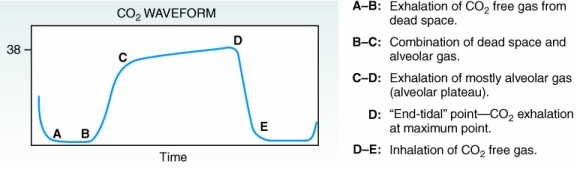 Where on the following normal capnogram is the end-tidal carbon dioxide (PetCO₂) represented?   A) A B) B C) C D) D
