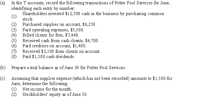 Set up T accounts for Cash; Accounts Receivable; Supplies; Accounts Payable; Common Stock; Dividends; Professional Fees; and Operating Expenses.   