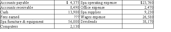 The assets and liabilities of Rocky's Day Spa at December 31 and expenses for the year are listed below.The stockholders' equity was $68,000 ($48,000 in Common Stock and $20,000 in Retained Earnings)at January 1.The shareholders invested in an additional $10,000 of common stock during the year.Net income for the year is $45,625. ​    Prepare an income statement for Rocky's Day Spa for the current year ended December 31.