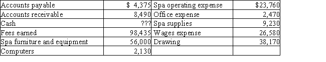 The assets and liabilities of Rocky's Day Spa on December 31 and its revenue and expenses for the year are listed below.The capital of the owner was $68,000 on January 1.The owner invested an additional $10,000 during the year.​   Prepare a balance sheet for the year ended December 31.​