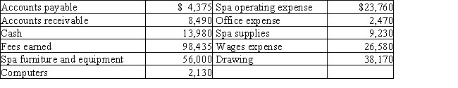 The assets and liabilities of Rocky's Day Spa on December 31 and its revenue and expenses for the year are listed below.The capital of the owner is $68,000 on January 1.The owner invested an additional $10,000 during the year.​   Prepare a statement of owner's equity for the current year ended December 31.