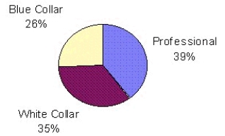 A recent Wall Street Journal poll asked a sample of professional,white collar,and blue-collar workers whether they felt legal immigration had a positive effect on the United States.The responses were graphed as follows: Identify the type of chart shown,and describe the information it gives.