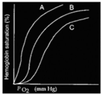 Curve B below represents the oxygen-hemoglobin dissociation curve for normal body temperature, arterial hydrogen ion concentration, and DPG concentration.   A)  Curve A may represent the dissociation at higher than normal arterial H+ concentration. B)  Curve C may represent the dissociation at lower than normal body temperature. C)  Curve A may represent the dissociation at very low 2,3 diphosphoglycerate levels. D)  Curve C may represent the dissociation at lower than normal arterial H+ concentration. E)  Curve A may represent the dissociation at higher than normal body temperature.