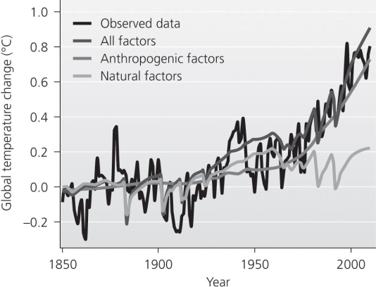   Use the accompanying figure to answer the following questions. -If anthropogenic factors continue to increase, then in the future _______________ A) the lines for all three models should level out B) the lines for all three models and for observed data should show marked decreases C) all of the lines will look more like the line for observed data D) the lines for all three models should show decreases while the observation line would be expected to increase E) the temperature trends shown in the figures should continue