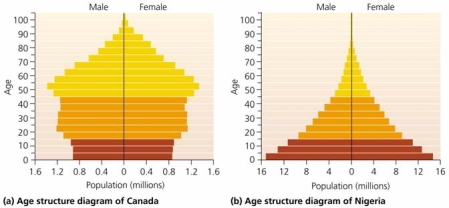   Use the figure above to answer the following question -The population in part (a)  is likely to experience ____________ soon. A)  more senior citizens B)  exponential population growth C)  government institution of a population control policy D)  resource depletion and decreased quality of life E)  more single males