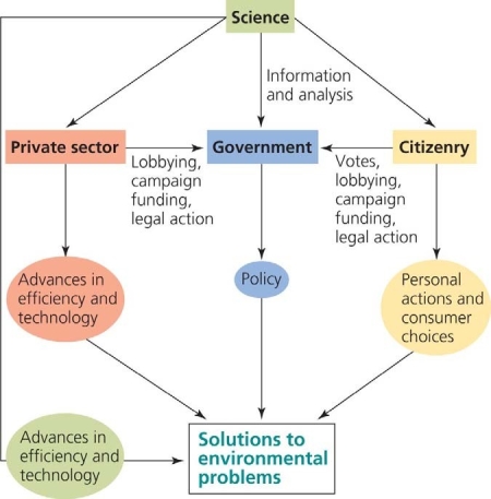   Use the figure above to answer the following question. -The distinction of scientific studyʹs input into governmental solution of environmental problems is that it ______________. A)  is modified by consumer incentives, such as rebates and tax breaks B)  bypasses the public sector in determining consumer choices and lifestyles C)  is the product of both consumer advocacy and industrial goals D)  bypasses the private sector in making improvements to technology E)  is independent of any other influences in its effect on forming government policy