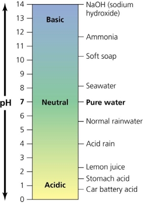   Use the figure above to answer the following question. -The pH of stomach acid suggests that it _____________ A)  would be harmful to living organisms ingested with food B)  is inside the biological range of pH values C)  must be very close to the pH of other body fluids D)  is an excellent environment for bacteria and fungi to multiply E)  has a very high concentration of hydroxide ions