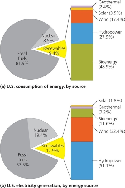  Use the figure above to answer the following question -The United States consumes more ______________ energy than any other renewable energy source. A)  hydropower B)  solar C)  bioenergy D)  wind E)  geothermal