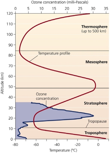   Use the figure above to answer the following question -The figure shows that ___________. A)  temperature decreases uniformly throughout the atmosphere B)  the mesosphere and troposphere are at the same altitude C)  ozone concentration reaches its highest level in the thermosphere D)  temperature increases uniformly throughout the atmosphere E)  peak ozone levels in the stratosphere correlates with rising temperature