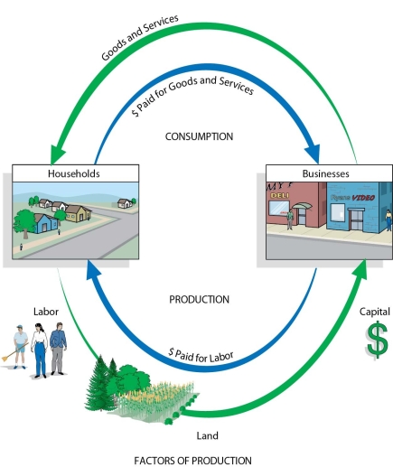   -In the classical view of economic activity in this figure,if the number of households in a region increases, A) total household consumption will decrease. B) the demands for labor will increase. C) goods and services will decline. D) the total cost of labor will decline.