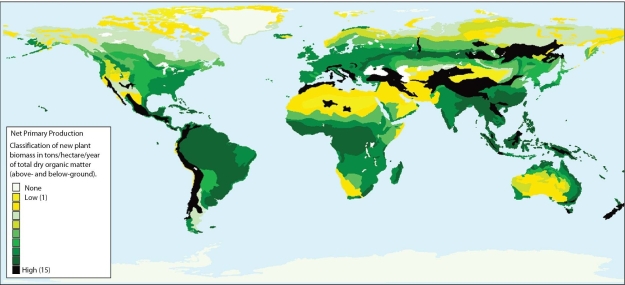   -In general,global primary productivity A) increases towards the equator. B) decreases towards the equator. C) increases towards the poles. D) is greatest in North America.