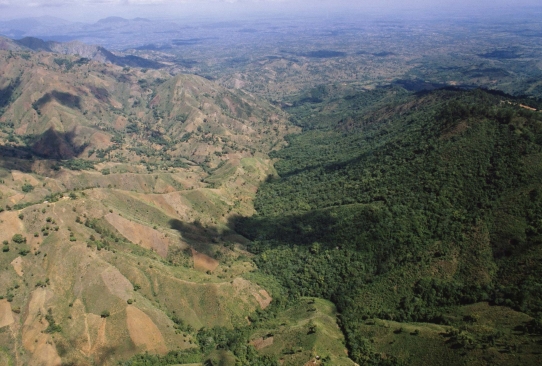   -The photograph reveals the border of two countries.Compared to the country on the left,the country on the right is more likely to have A) higher rates of human population growth. B) higher rates of poverty. C) greater political and economic stability. D) greater reliance upon natural ecosystems for trade.