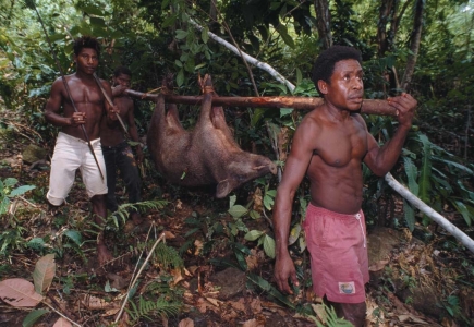 <strong> This photograph illustrates</strong> A)the consumptive use of a natural resource. B)the productive use of a natural resource. C)the maximum sustainable yield of a resource. D)the carrying capacity of a population.