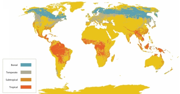   -The map in this figure represents the location of the world's major A) prairie/grassland biomes. B) forest biomes. C) biomes severely impacted by drought. D) desert biomes.