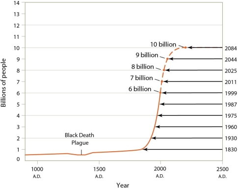   -Based upon the information presented in this figure,which of the following revolutions did not contribute to a sharp increase in human population? A) Industrial Revolution B) Medical Revolution C) Green Revolution D) Neolithic Revolution