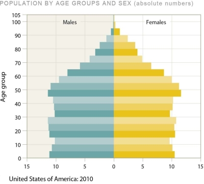   -In this figure,the width of each bar includes a measure of the A) total fertility of the age group. B) age of first reproduction of the age group. C) mortality within the age group. D) size of the family of women of reproductive age.