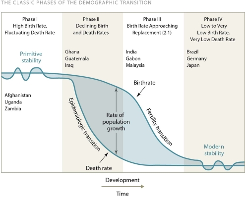   -Examine this figure.Which revolution was most responsible for the shift from phase I to phase II? A) Industrial Revolution B) Green Revolution C) Neolithic Revolution D) Medical Revolution