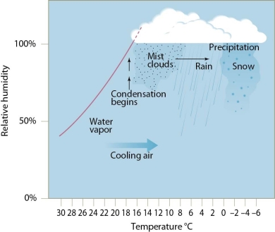   -In the figure,blue water is represented by A) rain. B) clouds. C) water vapor. D) clouds and water vapor.