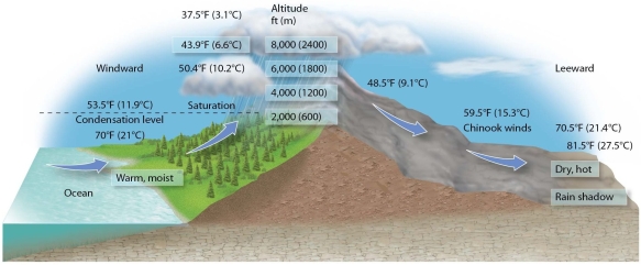   -Compared to the windward side,the leeward side of this mountain range will most likely have A) lower levels of transpiration and precipitation. B) higher levels of precipitation and lower levels of transpiration. C) higher levels of humidity. D) lower levels of sunshine.
