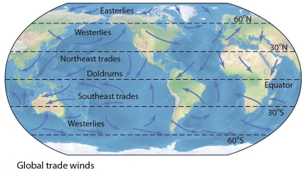   -The wind patterns indicated by arrows in the figure are primarily the result of A) Earth's rotation. B) air flow over mountains. C) deep ocean currents cooling and warming air. D) global climate change.