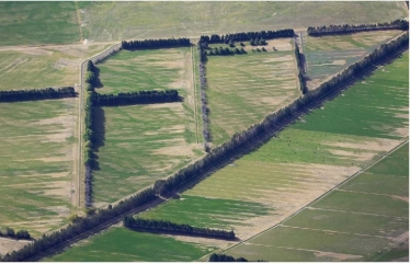 <strong> The planting of strips of trees and shrubs along the edges of plowed fields is used to</strong> A)decrease wind erosion. B)form water catchments for irrigation and wildlife conservation. C)drain off excess water during heavy rainfall events. D)limit the spread of crop pests.