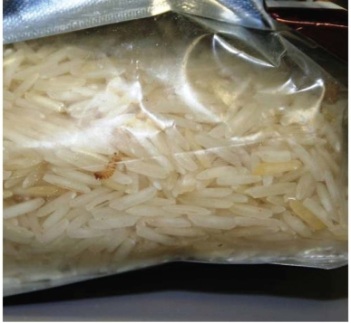 <strong> The insects infesting this bag of rice are</strong> A)stored product pests that can live on almost no water and are resistant to pesticides. B)is a rare species occasionally caught in U.S.grain imports over the past decade. C)highly diet-specific,eating only certain strains of rice. D)unsightly,but of no economic or health significance.