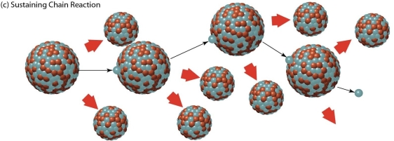   -The chain reaction in this figure is a A) self-amplifying chain reaction that is used in most U.S.nuclear power plants. B) self-amplifying chain reaction that could lead to a nuclear explosion. C) sustaining chain reaction using control rods,like that used in most U.S.nuclear power plants. D) sustaining reaction without control rods,demonstrating the consequences of no control.