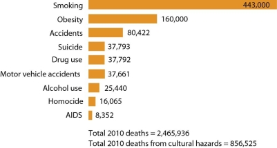  -This figure illustrates examples of environmental hazards related to A) biology. B) culture. C) the physical environment. D) chemicals in the environment.