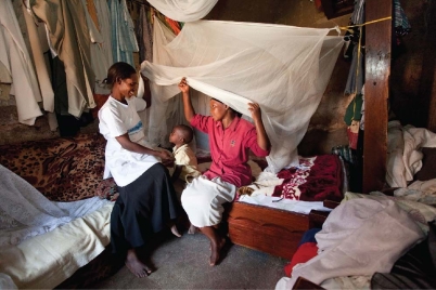   -The people in this photograph are using A) a bed net for mosquito vector control. B) antibiotic-treated white sheets to kill the parasite the causes malaria. C) a bed raised off the ground to prevent malarial infection by ticks. D) a DDT-treated tent and sheets strategy that kills the parasite that causes malaria.