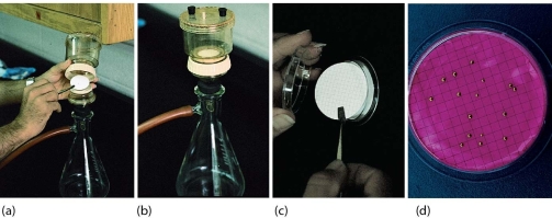   -The method illustrated in these figures is testing water for A) eutrophicant fertilizers. B) bacterial contamination. C) fungal infections. D) oxygen levels.