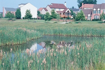   -This small residential pond in the middle of this subdivision is most likely A) a natural pond that happened to be in the region where the homes were built. B) part of a storm-water management system,to reduce erosion from runoff. C) constructed specifically as a source of water for people to use to irrigate their lawns. D) part of the sewage treatment facility that serves the homes in this region.