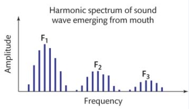 In this figure illustrating the harmonic spectrum of sound waves emerging from the mouth, the individual peaks in the spectrum labeled as F<sub>1</sub>, F<sub>2</sub>, and F<sub>3</sub> refer to:   A)  consonant frequencies. B)  formants. C)  pitches. D)  harmonics.