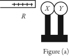 X and Y are two uncharged metal spheres on insulating stands,and are in contact with each other.A positively charged rod R is brought close to X as shown in Figure (a) .   Sphere Y is now moved away from X,as in Figure (b) .   What are the final charge states of X and Y? A)  Both X and Y are neutral. B)  X is positive and Y is neutral. C)  X is neutral and Y is positive. D)  X is negative and Y is positive. E)  Both X and Y are negative.