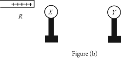 X and Y are two uncharged metal spheres on insulating stands,and are in contact with each other.A positively charged rod R is brought close to X as shown in Figure (a) .   Sphere Y is now moved away from X,as in Figure (b) .   What are the final charge states of X and Y? A)  Both X and Y are neutral. B)  X is positive and Y is neutral. C)  X is neutral and Y is positive. D)  X is negative and Y is positive. E)  Both X and Y are negative.