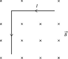 An L-shaped metal machine part is made of two equal-length segments that are perpendicular to each other and carry a 4.50-A current as shown in the figure.This part has a total mass of 3.80 kg and a total length of 3.00 m,and it is in an external 1.20-T magnetic field that is oriented perpendicular to the plane of the part,as shown.What is the magnitude of the NET magnetic force that the field exerts on the part?   A)  8.10 N B)  11.5 N C)  16.2 N D)  22.9 N E)  32.4 N