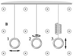 The three loops of wire shown in the figure are all subject to the same uniform magnetic field   that does not vary with time.Loop 1 oscillates back and forth as the bob in a pendulum,loop 2 rotates about a vertical axis,and loop 3 oscillates up and down at the end of a spring.Which loop,or loops,will have an emf induced in them?   A)  loop 1 only B)  loop 2 only C)  loop 3 only D)  loops 1 and 2 E)  loops 2 and 3