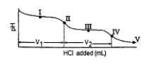 Consider the following information about the diprotic acid ascorbic acid (H<sub>2</sub>As for short, molar mass = 176.1) .   The titration curve for disodium ascorbate, Na<sub>2</sub>As, with standard HCl is shown below:   -What major species is(are)  present at point III? A)  HAs<sup>-</sup> only B)  H<sub>2</sub>As and H<sup>+</sup> C)  H<sub>2</sub>As only D)  As<sup>2</sup><sup>-</sup> and HAs<sup>-</sup> E)  HAs<sup>-</sup> and H<sub>2</sub>As 