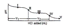 Consider the following information about the diprotic acid ascorbic acid (H<sub>2</sub>As for short, molar mass = 176.1) .   The titration curve for disodium ascorbate, Na<sub>2</sub>As, with standard HCl is shown below:   -What major species is(are)  present at point III? A)  HAs<sup>-</sup> only B)  H<sub>2</sub>As and H<sup>+</sup> C)  H<sub>2</sub>As only D)  As<sup>2-</sup> and HAs<sup>-</sup> E)  HAs<sup>-</sup> and H<sub>2</sub>As 