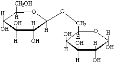 Which of the following would be the correct classification of the carbohydrate shown below?   A) monosaccharide B) disaccharide C) polysaccharide D) starch E) cellulose