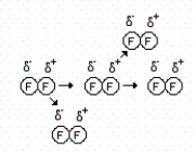 Consider the representations below to answer the next three questions. (I)    (II)    (III)    -How many of the following statements are correct concerning drawing I? I.Each molecule induces a dipole onto the next molecule in close proximity. II.The phenomenon shown is relatively weak and short-lived. III.C<sub>8</sub>H<sub>18</sub> contains this type of interaction. IV.The forces that exist in this example are London dispersion forces. A) 0 B) 1 C) 2 D) 3 E) 4