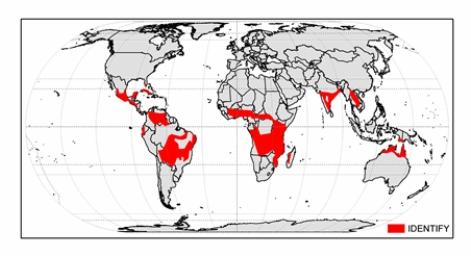 The climate shown on the map below is   A)  hot low-latitude desert. B)  hot low-latitude steppe. C)  tropical savanna. D)  tropical rainforest. E)  tropical monsoon.