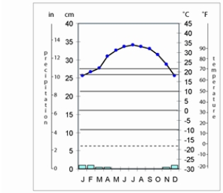 The climograph of Cairo,Egypt shows   A)  hot low-latitude desert. B)  cold midlatitude desert. C)  cold midlatitude steppe. D)  hot low-latitude steppe. E)  tropical savanna.