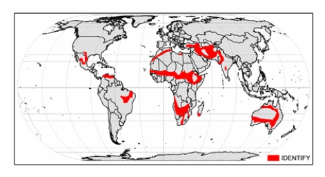 The climate shown on the map below is   A)  cold midlatitude steppe. B)  tropical savanna. C)  hot low-latitude desert. D)  cold midlatitude desert. E)  hot low-latitude steppe.