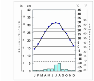 The climograph of Yinchuan,China,shows   A)  hot low-latitude desert. B)  hot low-latitude steppe. C)  cold midlatitude desert. D)  cold midlatitude steppe. E)  Mediterranean dry-summer.