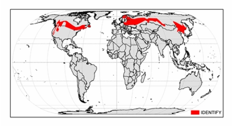 The climate zone shown on the map is   A)  humid continental mild-summer. B)  subarctic. C)  humid continental hot-summer. D)  humid subtropical hot-summer. E)  tundra.